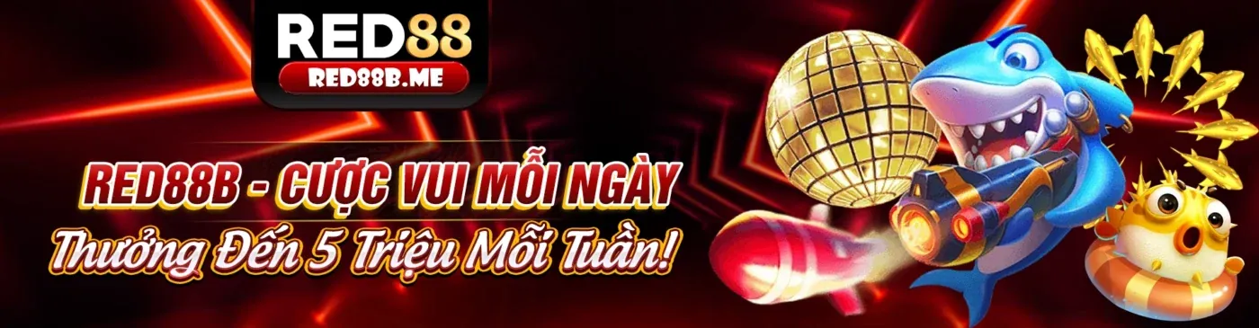 Tổng quan về 888d đăng nhập