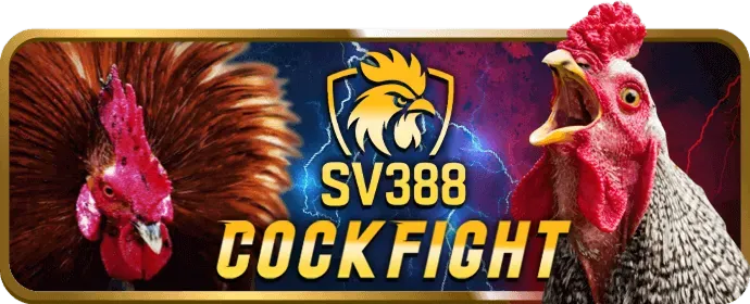 Chơi nổ hũ trên ứng dụng 888d